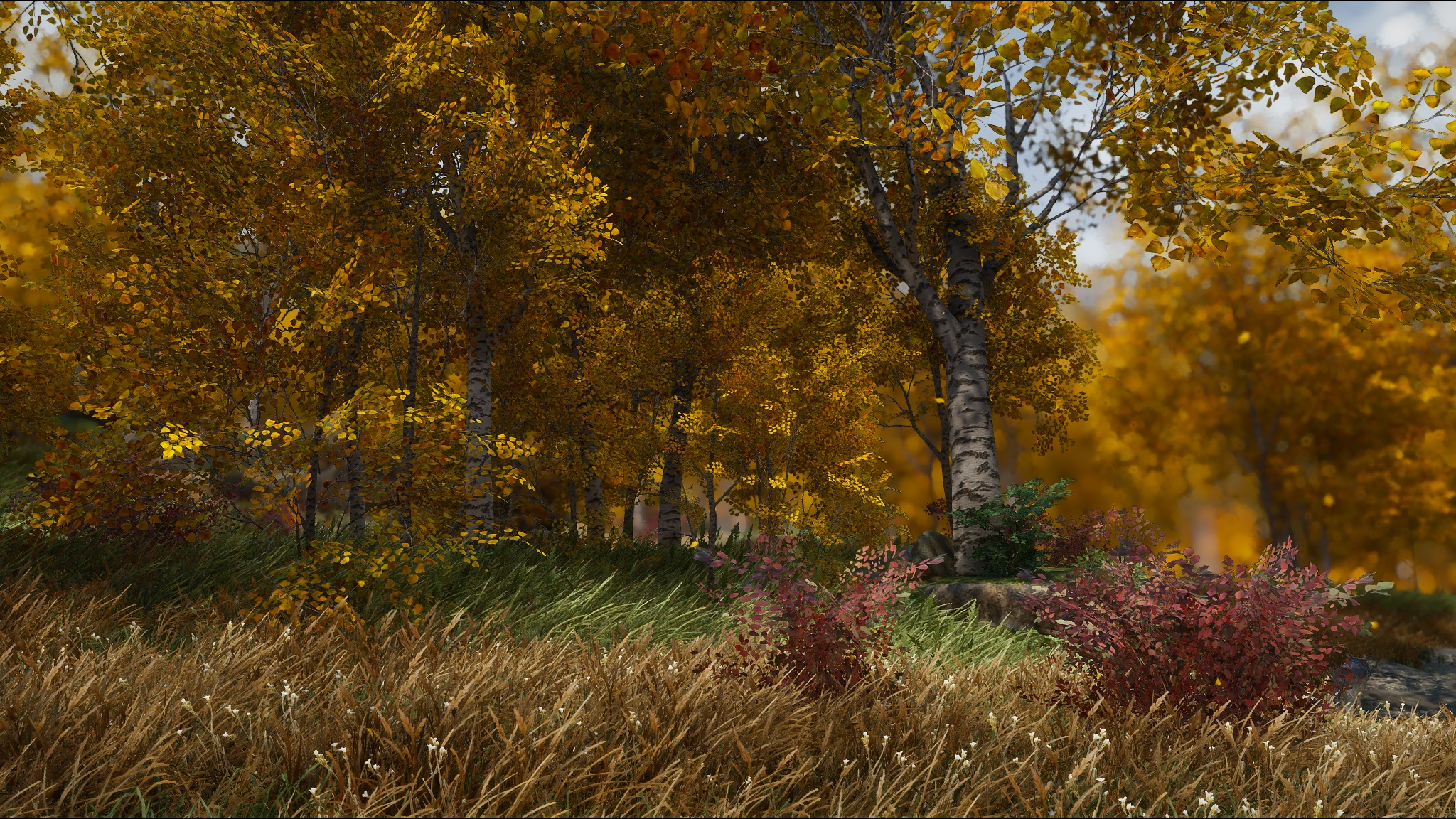 2026005.JPG 2026005.JPG